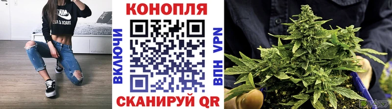 Шишки марихуана OG Kush  Краснослободск 